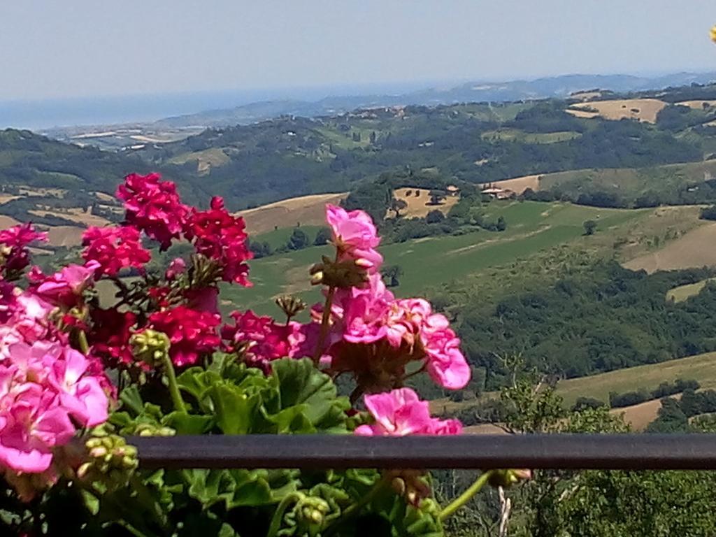 Albergo Diffuso - Il Poggetto Tra Urbino & San Marino 外观 照片
